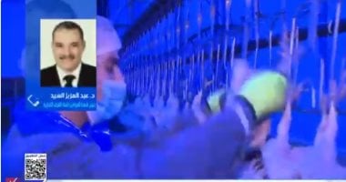 رئيس شعبة الدواجن لـ