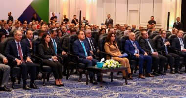 شاهد إنجازات برنامج التنمية المحلية بصعيد مصر خلال 7 سنوات..فيديو