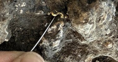 العثور على خاتم يونانى وكنوز ذهبية فى مقبرة رومانية نادرة فى فرنسا