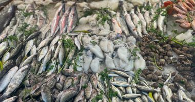 زحام في سوق السمك ببورسعيد وإقبال على شراء الأكلات البحرية.. فيديو