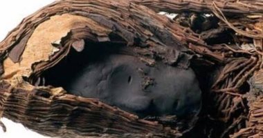 كيف أثر الجفاف وسوء التغذية فى صحراء أتاكاما على تطور الدماغ البشرى؟