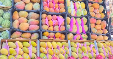 التفاح بكام؟.. أسعار الخضراوات والفاكهة فى محافظة قنا اليوم السبت