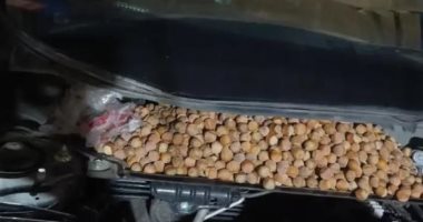 صينى يُفاجأ بتحول سيارته إلى مخزن بندق بسبب القوارض