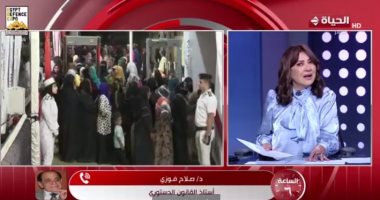 أستاذ قانون دستوري: أحكام إلغاء نتيجة الانتخابات بعدد من الدوائر واجبة النفاذ