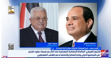 أشرف سنجر: مصر تذكر المجتمع الدولى أن إعادة إعمار غزة الطريق الوحيد للاستقرار