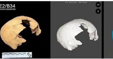 العثور  على جماجم مربعة الشكل عمرها 1500 عام فى المكسيك..ما قصتها؟