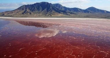 ألوان خيالية وحقائق صادمة.. بحيرات حول العالم تتغير ألوانها بسبب المعادن والكوارث البيئية.. السنغال تمتلك البحيرة الوردية.. كندا تتمتع بالمتغيرة.. آيسلندا صاحبة اللون الأخضر.. و«لاجونا» الحمراء في بوليفيا.. صور