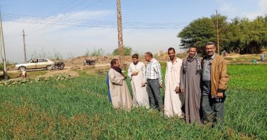 زراعة سوهاج تنفذ ندوة حقلية للبصل بمركز المنشاه للوقاية من الأمراض الفطرية