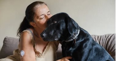 تجربة.. الكلاب المدربة تكشف الانخفاضات الحادة بالسكر قبل أجهزة القياس