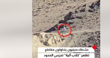 كلاب آلية بديلة للجنود.. تداول فيديوهات لروبوت يحرس الحدود مع الهند