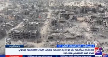 خبير: دعم مصر لإيجاد قوة دولية في غزة حفاظا على حقوق الفلسطينيين