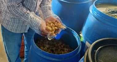 ضبط طن أغذية غير صالحة ومخالفة للمواصفات فى حملات بالمطرية وجمصة