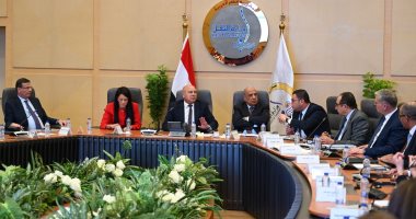 تشكيل لجنة حكومية لدراسة أسباب التشوهات الجمركية الضارة بالصناعة