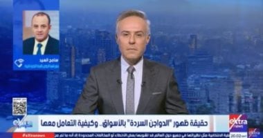 شعبة الدواجن تحذر: الفراخ السردة تغزو الأسواق الشعبية.. اشتروا من المنافذ الرسمية