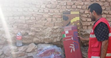 محافظ أسوان يستجيب لاستغاثة أم فتاة مريضة نفسياً