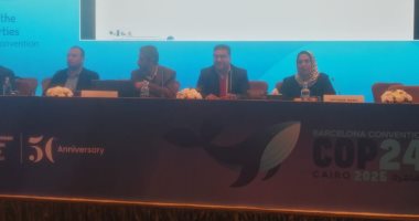 استعراض مشروع أنظمة الرصد المبكر بطول السواحل المصرية ضمن فاعليات COP24
