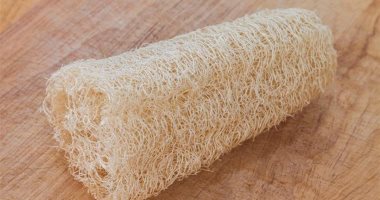 طبيبة أمراض جلدية تحذر: أسفنجة الاستحمام الخاصة بك مصنع للجراثيم