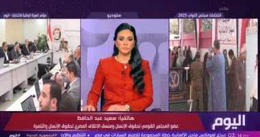 سعيد عبد الحافظ: قرارات الهيئة والمحكمة تعكس ديناميكية العملية الانتخابية