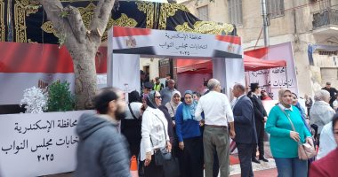 غداً الإدارية العليا تنظر أحد الطعون بإلغاء انتخابات دائرة طنطا 