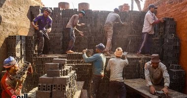 صورة اليوم.. إيد على إيد الحمل يخف والإنجاز يزيد