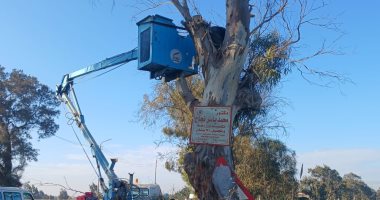 محافظ كفر الشيخ يوجّه برفع مستوى أمان طريق إسحاقة - السرو 