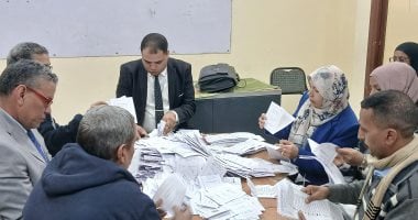 شاهد بالفيديو.. فرز الأصوات فى لجان الدوائر الملغاة بالمحافظات