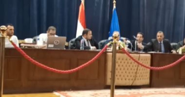 الحصر العددى لأصوات الناخبين للدائرة الأولى بدمنهور فى البحيرة.. فيديو