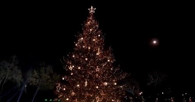 ترامب وزوجته ميلانيا يشاركان فى إضاءة شجرة عيد الميلاد وسط واشنطن.. فيديو