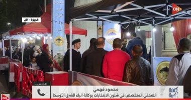 متخصص في شؤون الانتخابات لـ"كلمة أخيرة": انتخابات النواب شهدت انضباطا كبيراً