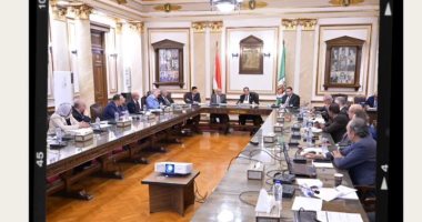 لجنة مشروع إسكان أعضاء هيئة التدريس بجامعة القاهرة