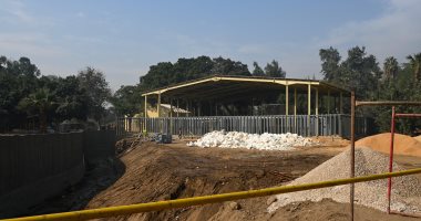 تدريب عالمى لفريق مصرى - فرنسى على استقبال الأفيال الجورجية بحديقة الحيوان