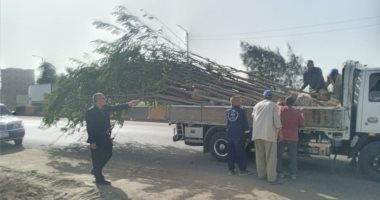 الدقهلية تطلق أكبر حملة للتشجير دعما لمبادرة 100 مليون شجرة.. صور
