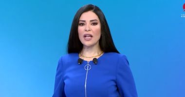 أمل الحناوى