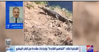 محافظ الشرقية لـ ستوديو إكسترا: لجنة لكشف لغز تماسيح المصرف