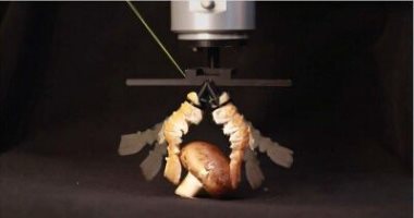 مهندسون يحولون أصداف "جراد البحر" إلى أطراف روبوتية ترفع وتسبح بإبداع  