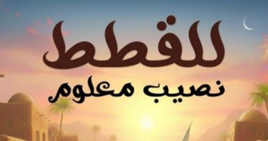 مناقشة رواية للقطط نصيب معلوم لـ طلال سيف.. الثلاثاء