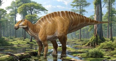 اكتشاف نوع جديد من ديناصورات "منقار البط" بعد فحص حفرية عمرها 75 مليون سنة