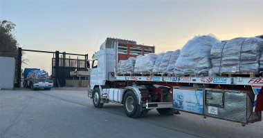 قافلة زاد العزة الـ 88