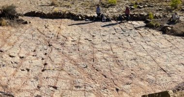 آثار أقدام ديناصورات