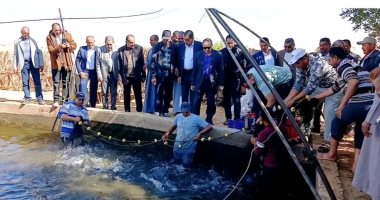 رئاسة مركز الداخلة: طرح إنتاج المزارع السمكية للقرى بأسعار مخفضة للمواطنين