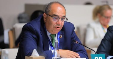 محمود محيي الدين