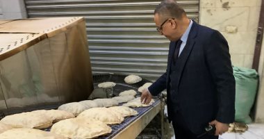 ضبط نصف طن لحم مفروم ضمن 158 مخالفة خلال ثلاثة أيام بأسواق الدقهلية