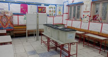 مليون ناخب أمام 152 لجنة فى إعادة انتخابات مجلس النواب بدائرة المنتزه غدا
