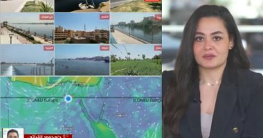 جانب من التغطية 