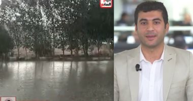 جانب من التغطية 