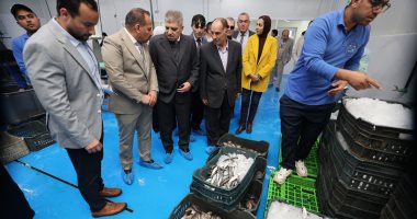 الفريق أسامة ربيع يتفقد عدداً من المرافق الخدمية 