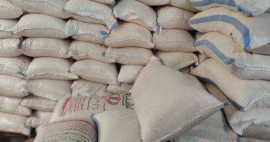 تموين الغربية: ضبط مصنع سناكس بدون ترخيص وكميات من السلع مجهولة المصدر بالسنطة