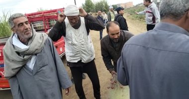 شاهد الصيادين أثناء رحلة البحث عن تماسيح الشرقية بقرية الزوامل