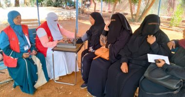 فرق التأمين الطبى تقدم خدماتها الصحية داخل لجان انتخابات النواب بالوادى الجديد