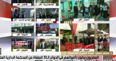 خبير: التصدي لأي تجاوزات انتخابية أعاد الثقة بين المواطن ومؤسسات الدولة